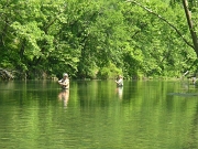 IMGP0456