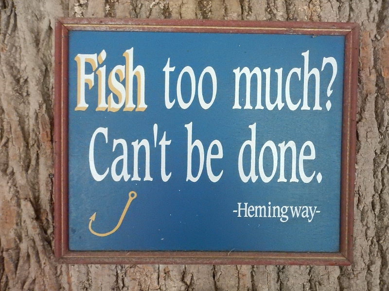 DSCN8071.JPG